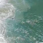 YouTube: captan primer rescate acuático por un dron en Australia [VIDEO]